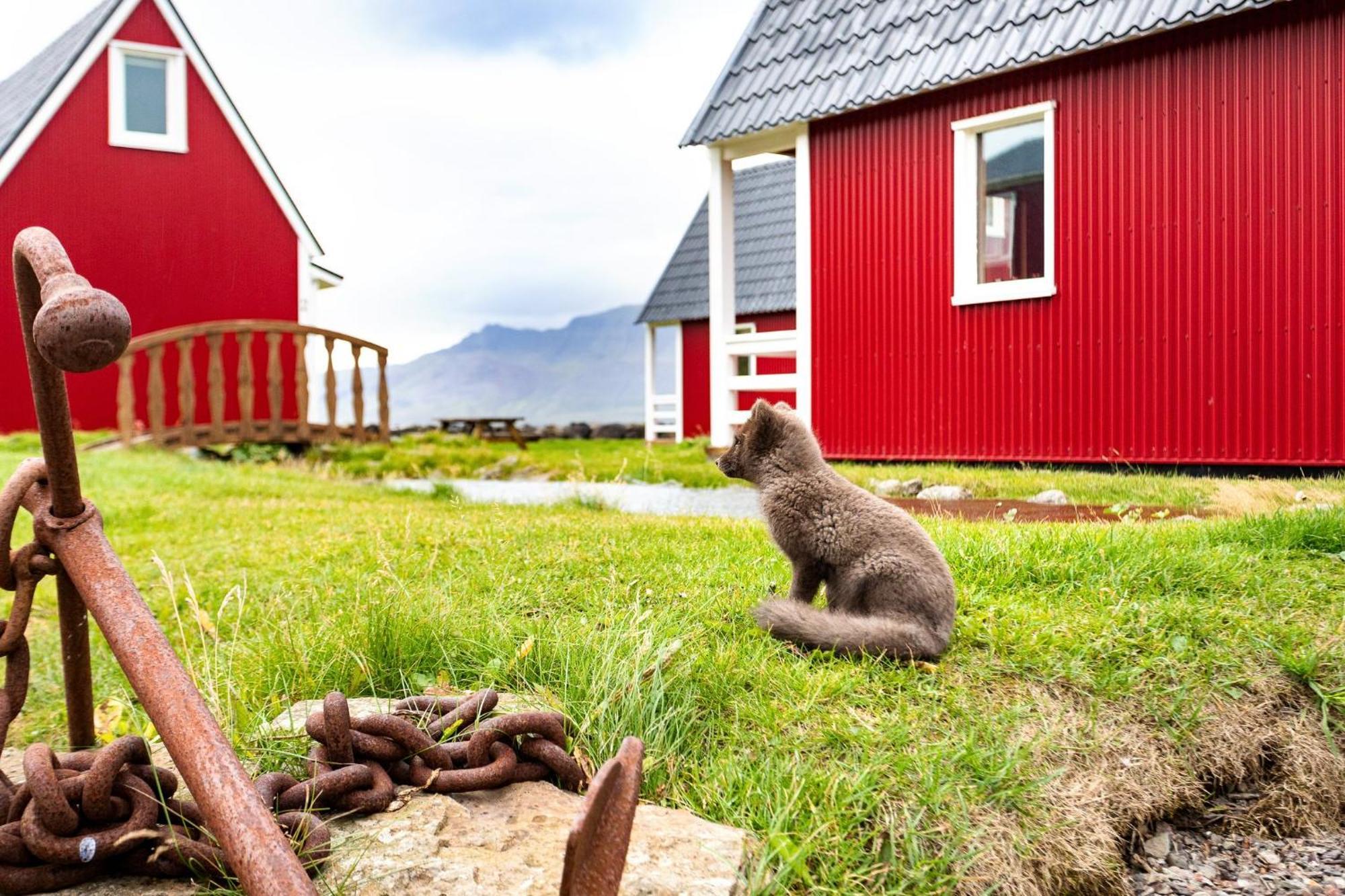 Mjoeyri Travel Holiday Homes Eskifjorthur Exterior photo